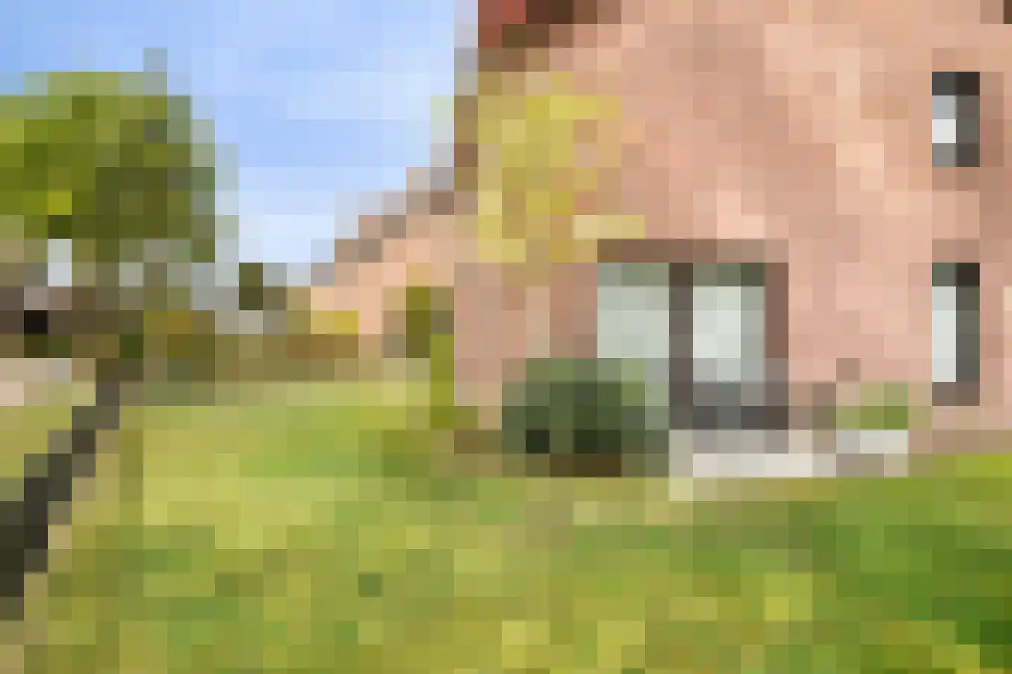 Schoolhuisweg 10 Veghel thumbnail 60