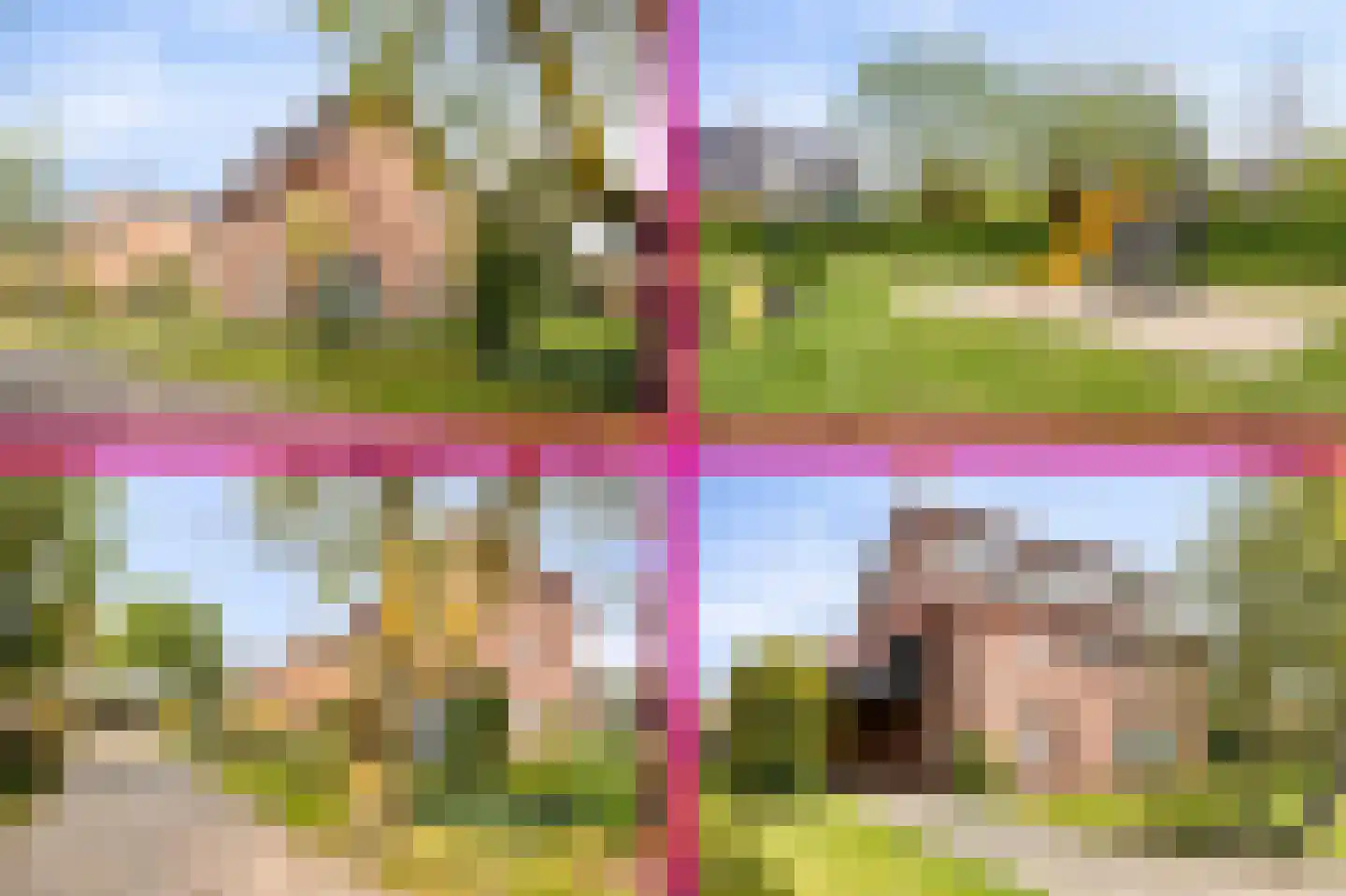 Schoolhuisweg 10 Veghel thumbnail 62