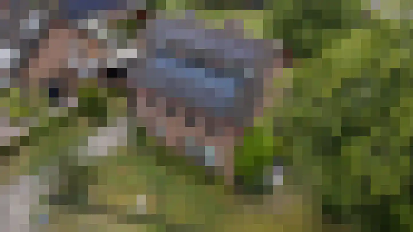 Schoolhuisweg 10 Veghel thumbnail 64