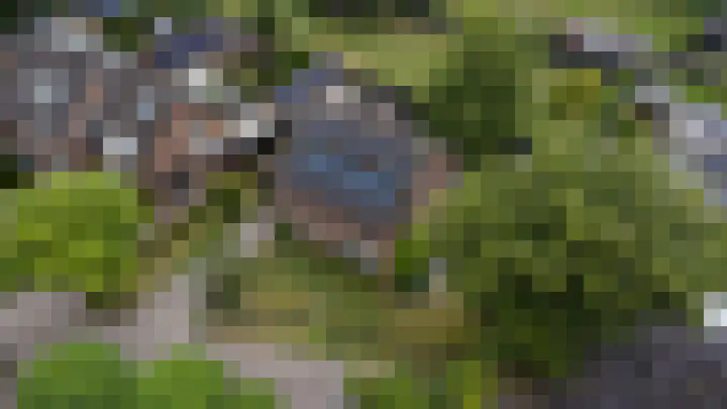 Schoolhuisweg 10 Veghel thumbnail 66
