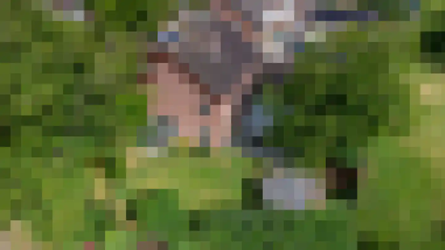 Schoolhuisweg 10 Veghel thumbnail 67
