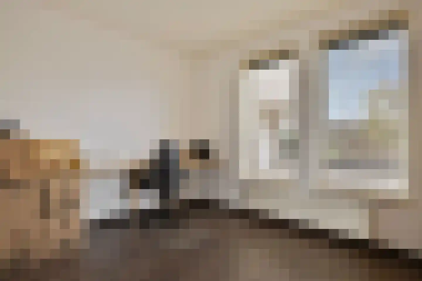 Schoolhuisweg 19 Veghel thumbnail 18