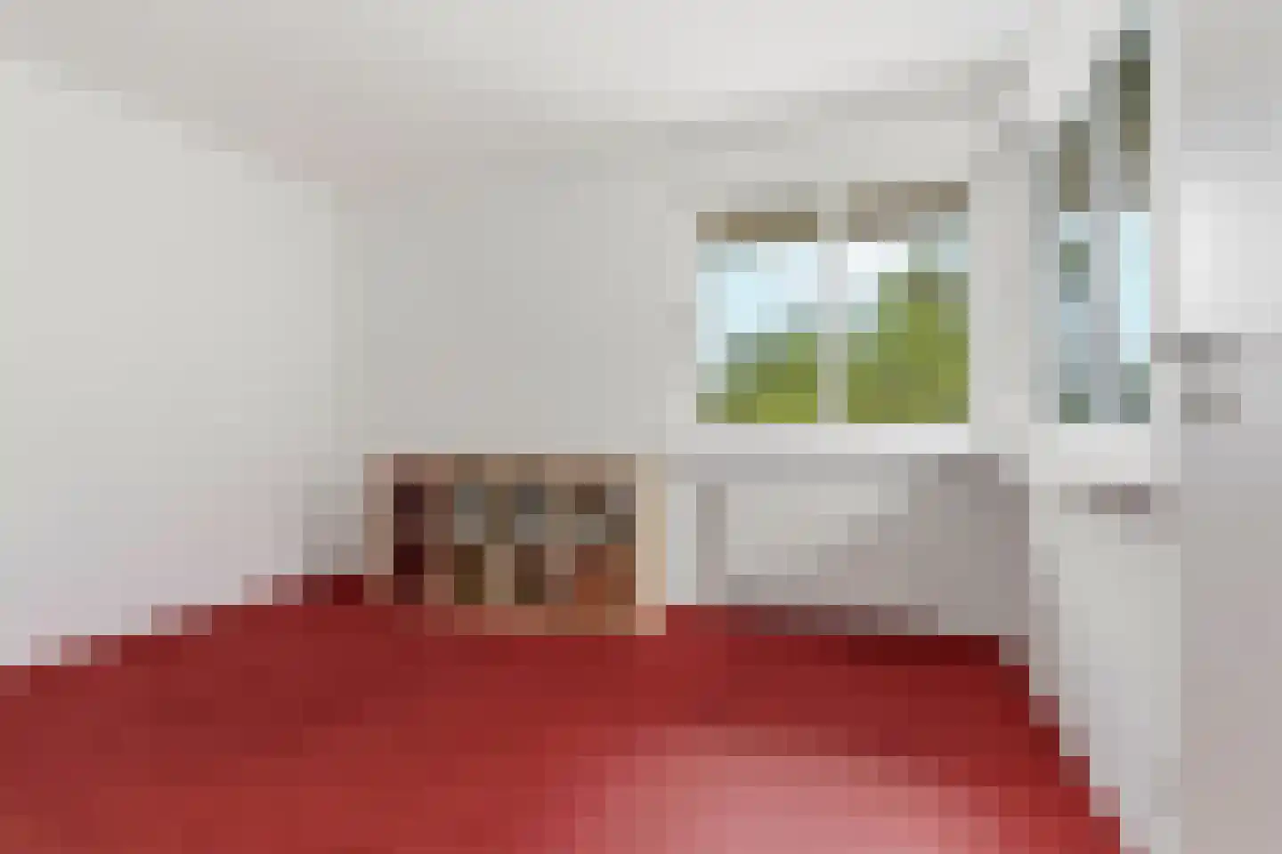 Schoolhuisweg 19 Veghel thumbnail 38