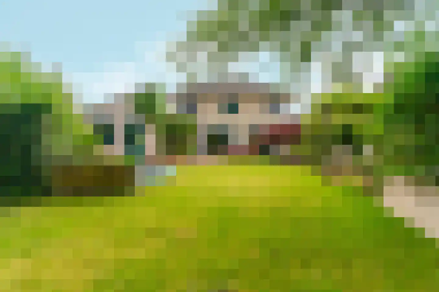Schoolhuisweg 19 Veghel thumbnail 4