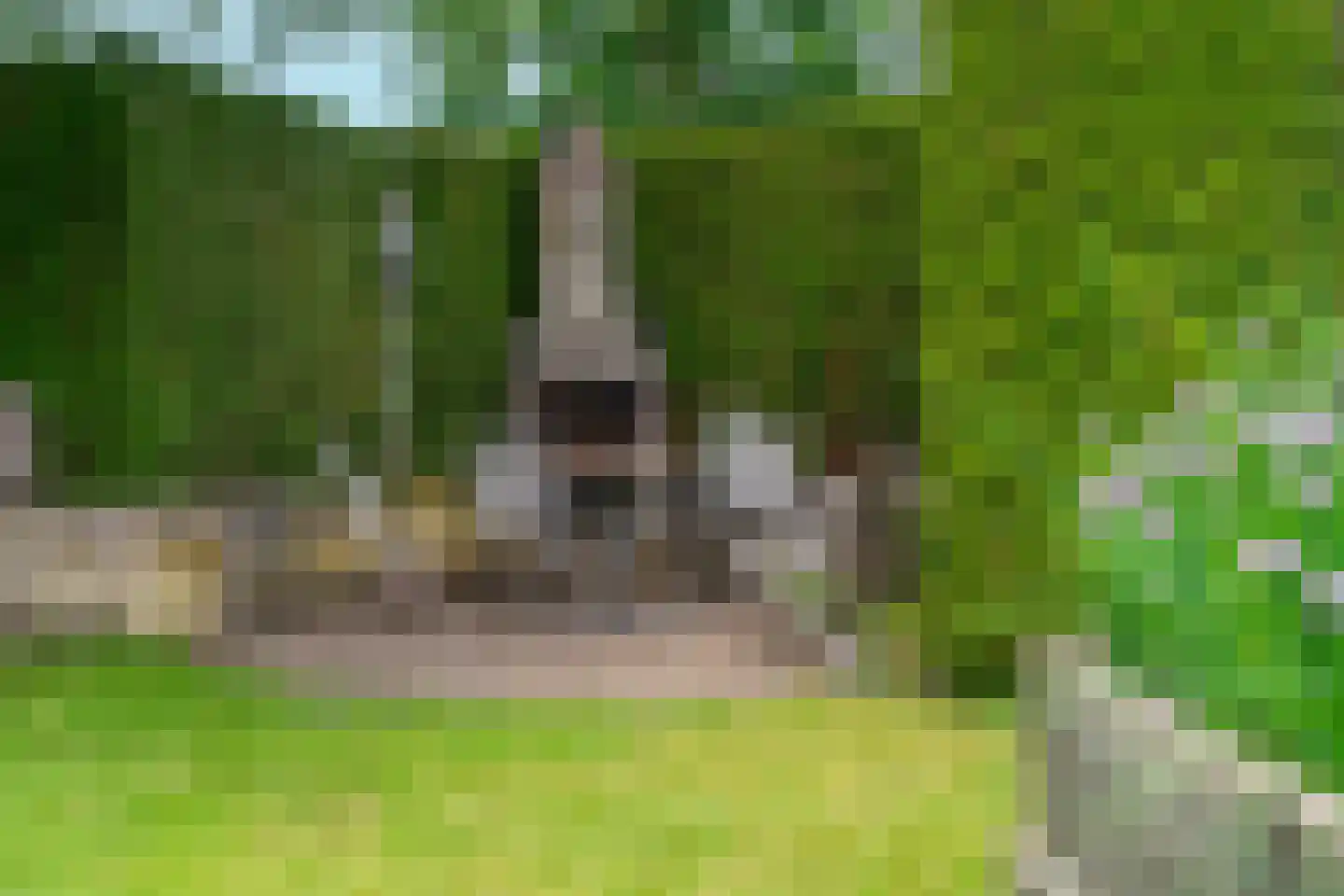 Schoolhuisweg 19 Veghel thumbnail 54
