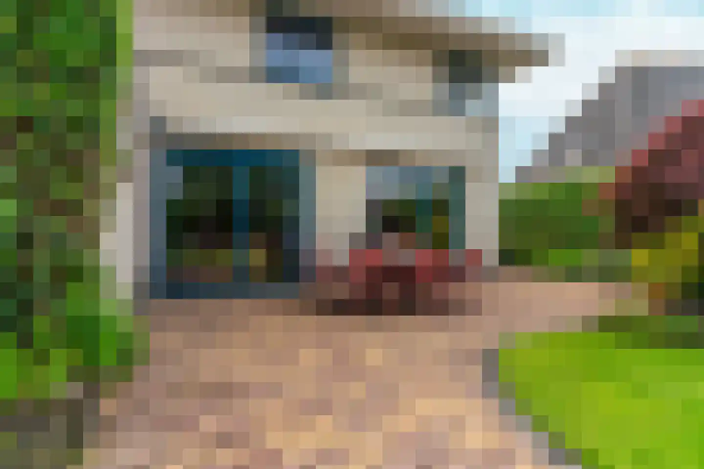 Schoolhuisweg 19 Veghel thumbnail 58