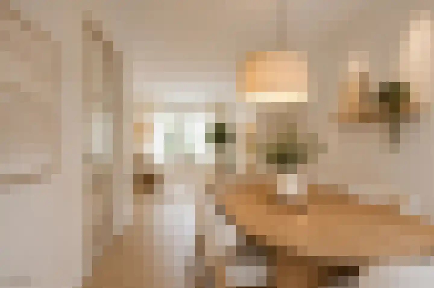 Schoolhuisweg 25 Veghel thumbnail 11