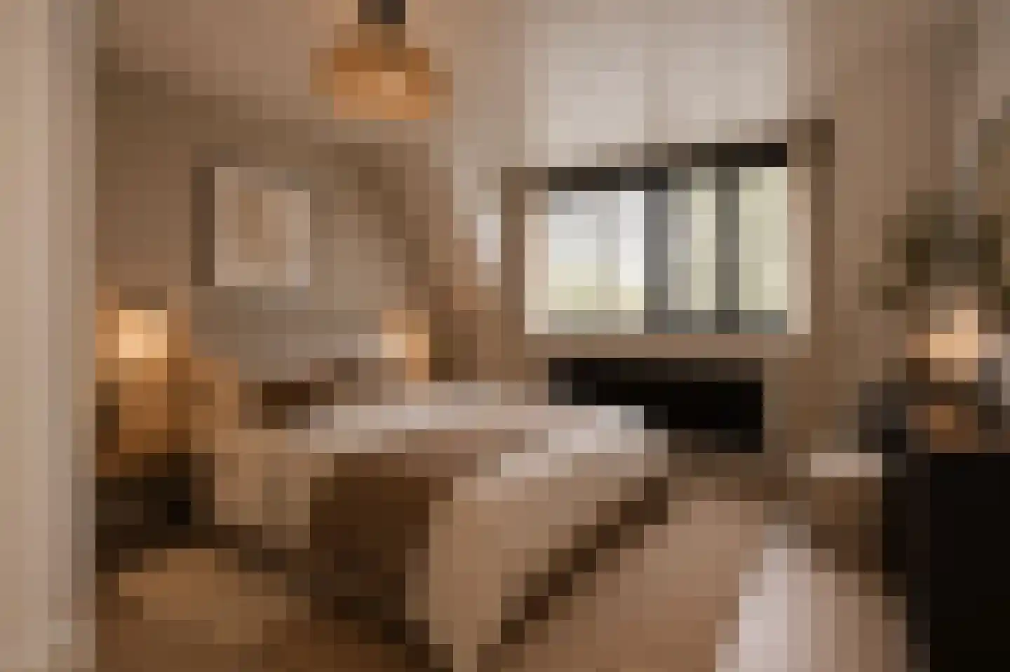 Schoolhuisweg 25 Veghel thumbnail 24