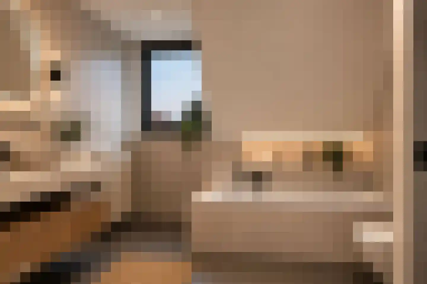 Schoolhuisweg 25 Veghel thumbnail 28
