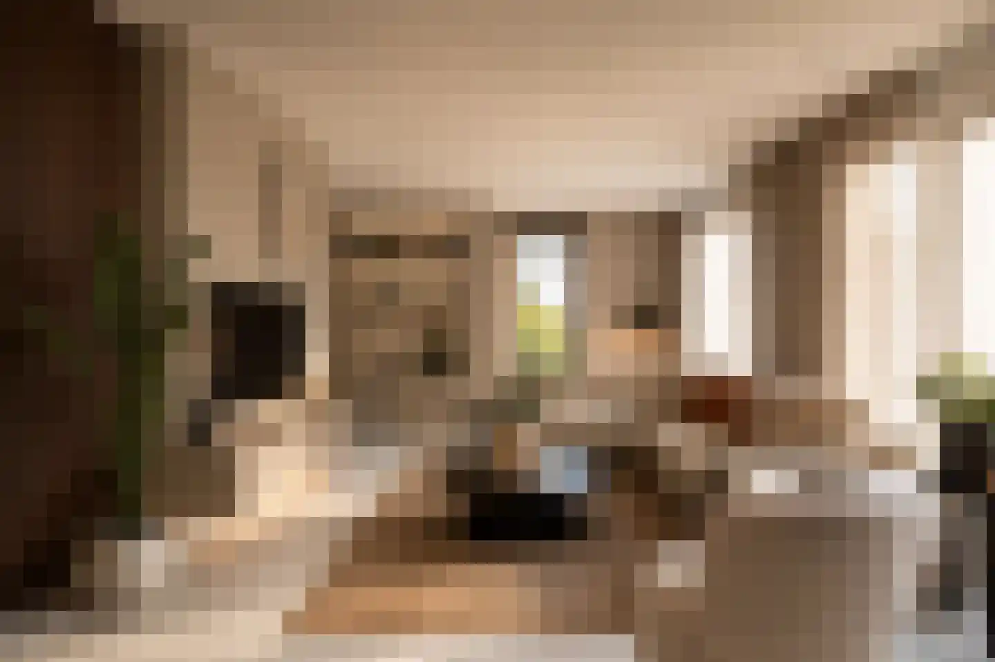Schoolhuisweg 25 Veghel thumbnail 4