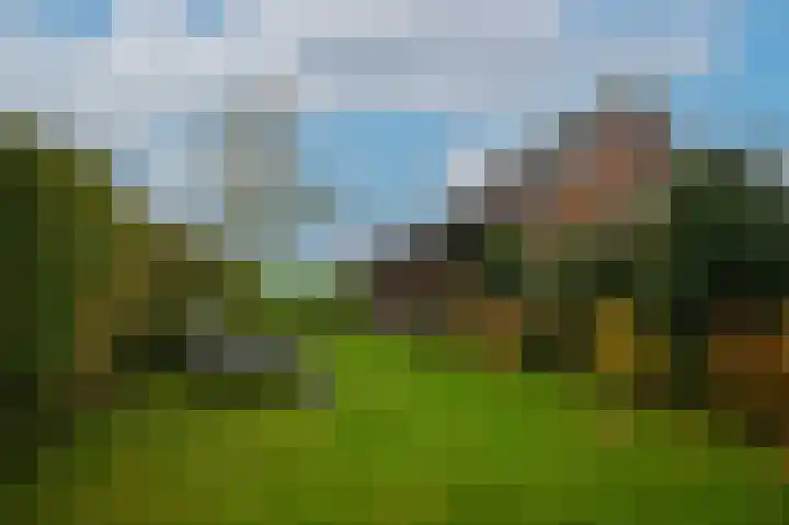Schoolhuisweg 28 Veghel thumbnail 33