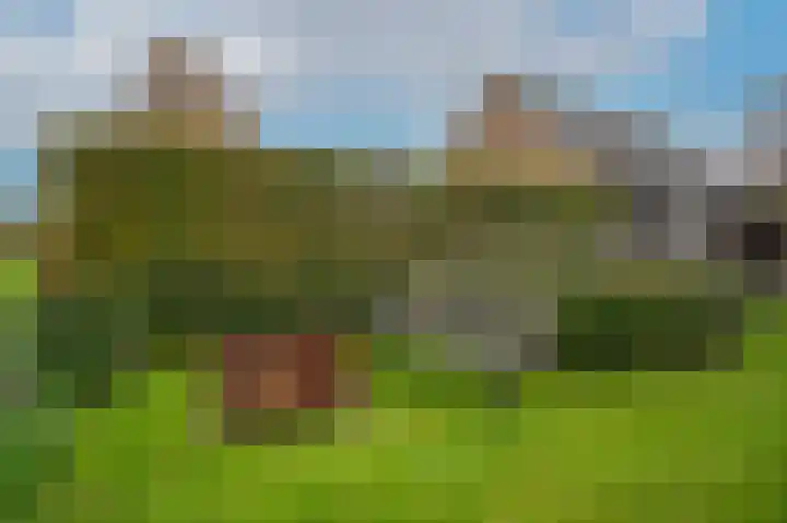 Schoolhuisweg 28 Veghel thumbnail 35