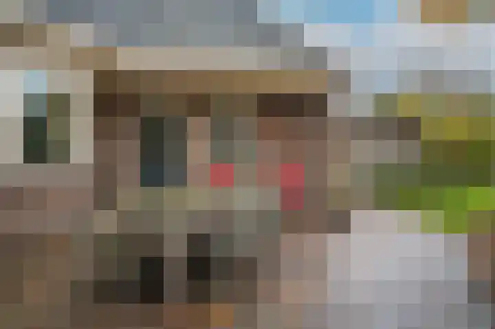 Schoolhuisweg 28 Veghel thumbnail 41