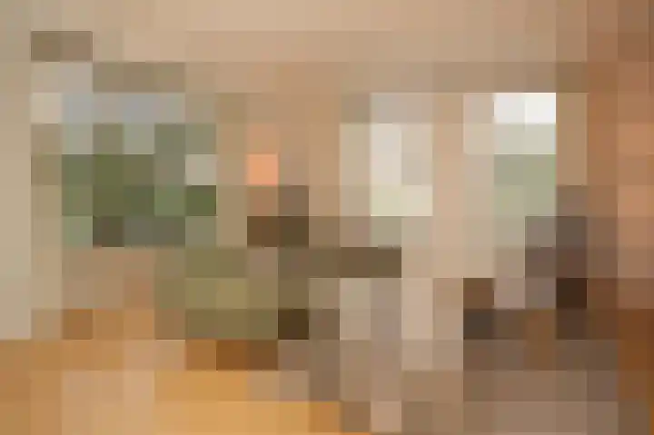 Schoolhuisweg 28 Veghel thumbnail 7
