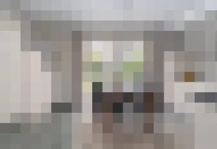 Schoolhuisweg 47 Veghel thumbnail 11