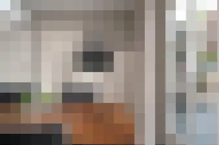 Schoolhuisweg 47 Veghel thumbnail 15