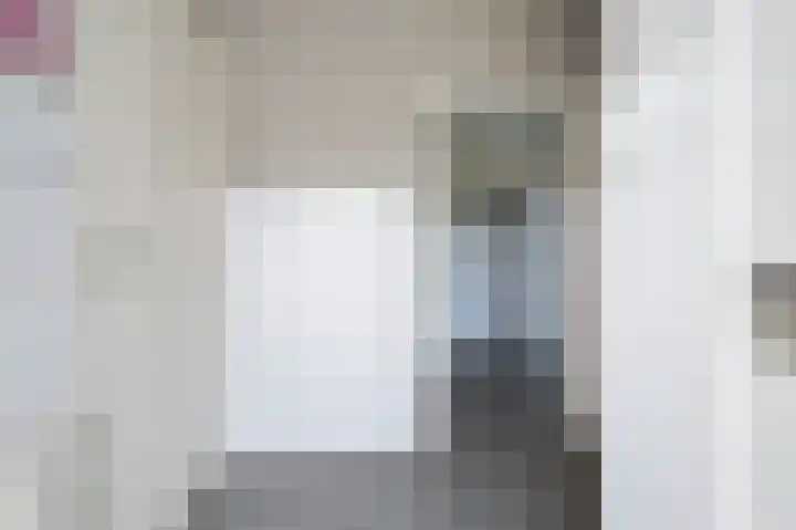 Schoolhuisweg 47 Veghel thumbnail 16