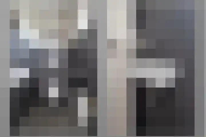 Schoolhuisweg 47 Veghel thumbnail 17
