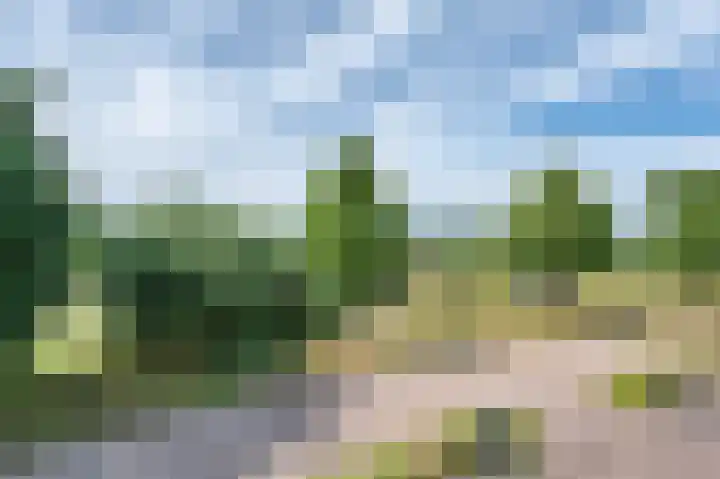Schoolhuisweg 47 Veghel thumbnail 32