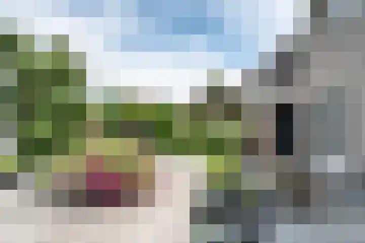 Schoolhuisweg 47 Veghel thumbnail 38