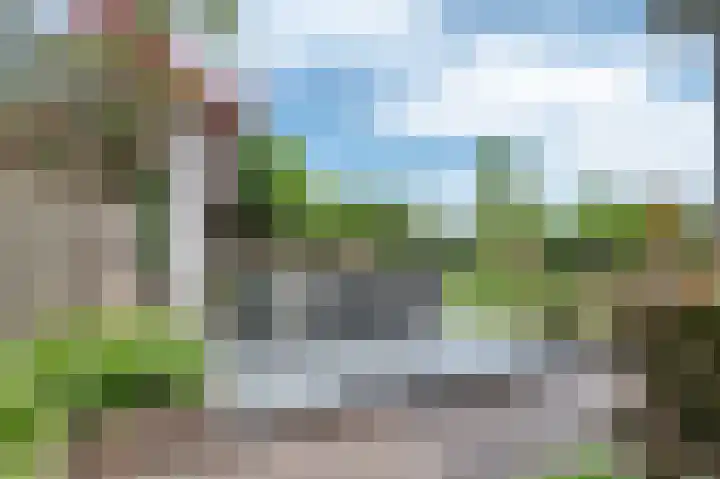 Schoolhuisweg 47 Veghel thumbnail 4