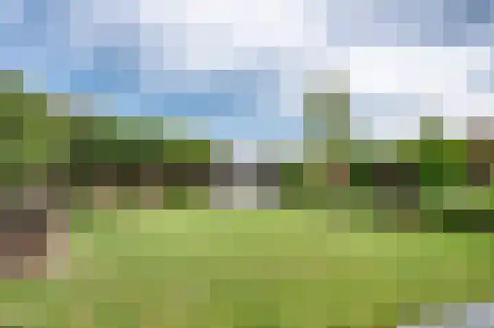 Schoolhuisweg 47 Veghel thumbnail 40