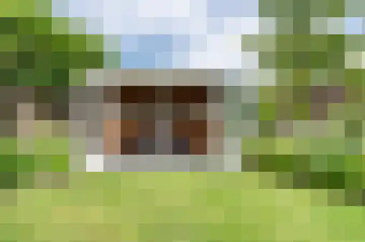 Schoolhuisweg 47 Veghel thumbnail 41