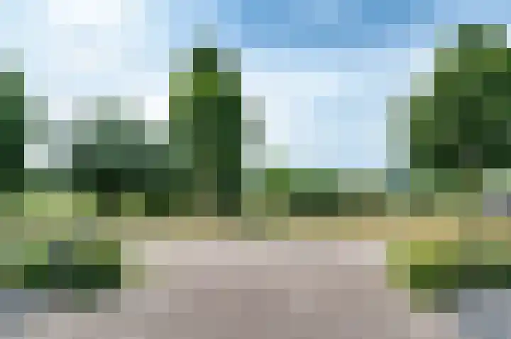Schoolhuisweg 47 Veghel thumbnail 44
