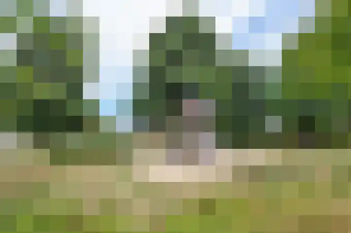 Schoolhuisweg 47 Veghel thumbnail 45