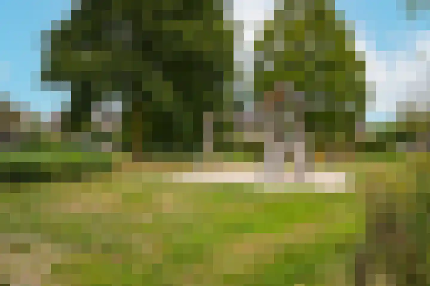 Schoolhuisweg 49 Veghel thumbnail 51