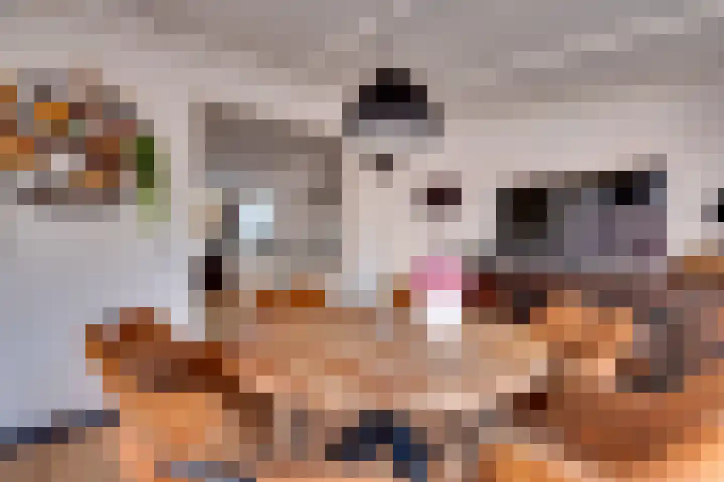 Schoolkade 1 A Musselkanaal thumbnail 13