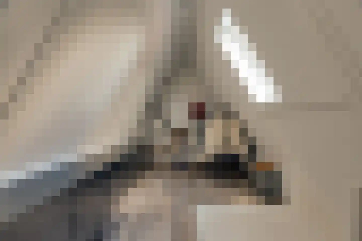 Schoolkade 1 A Musselkanaal thumbnail 31