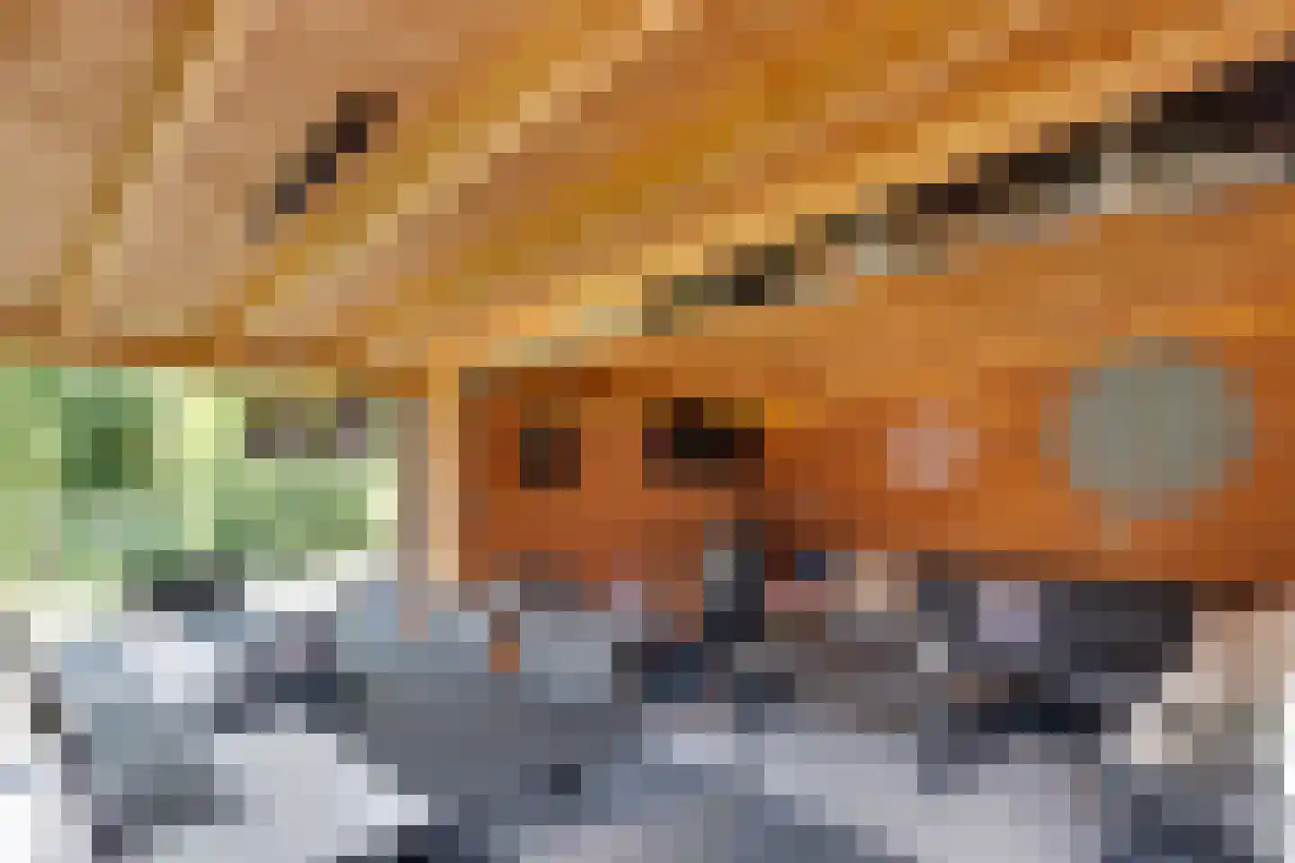 Schoolkade 1 A Musselkanaal thumbnail 37