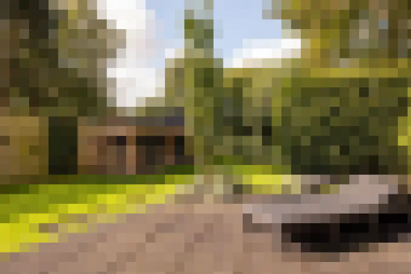 Schoolkade 1 A Musselkanaal thumbnail 40