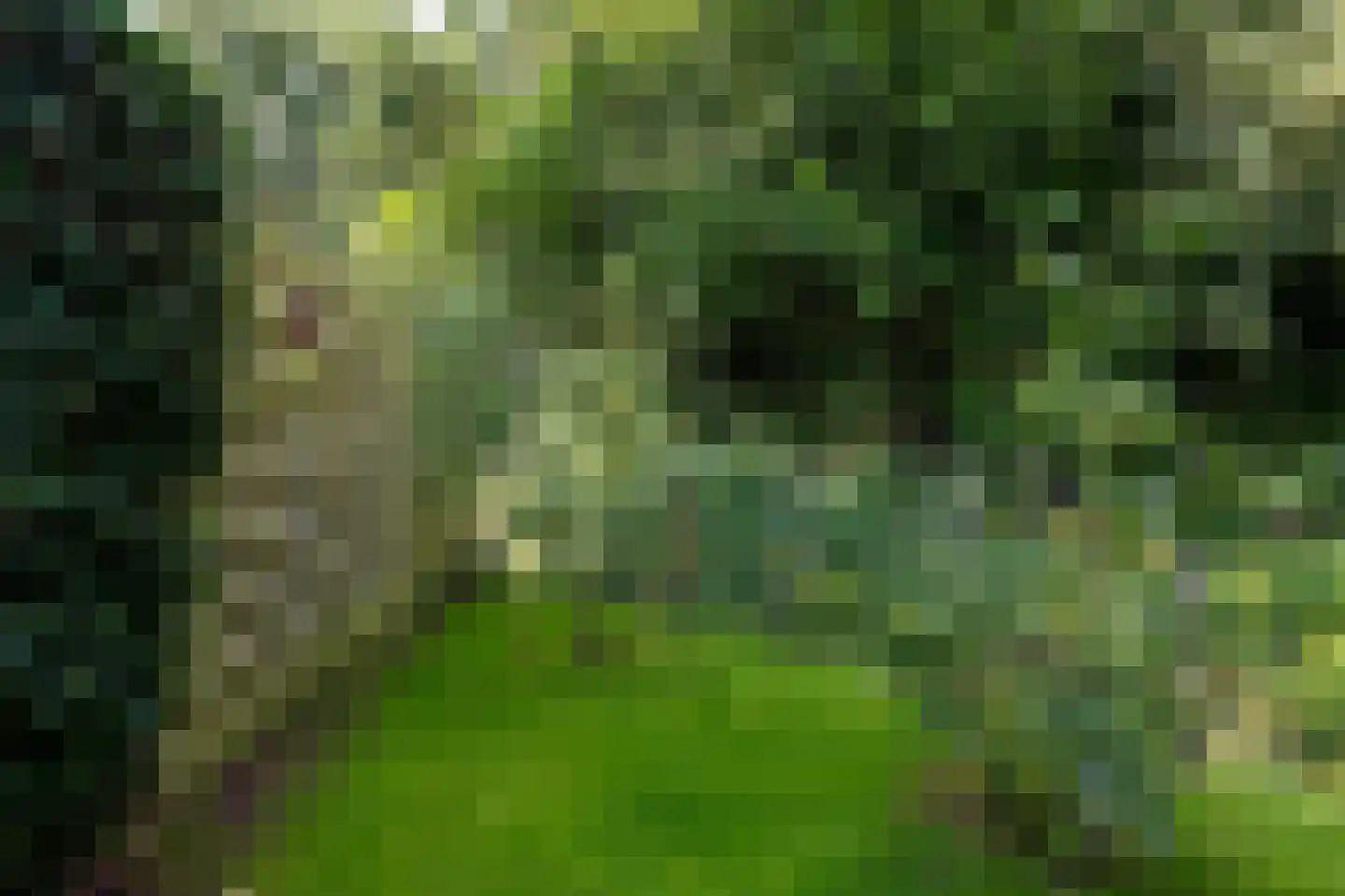 Schoolkade 1 A Musselkanaal thumbnail 41