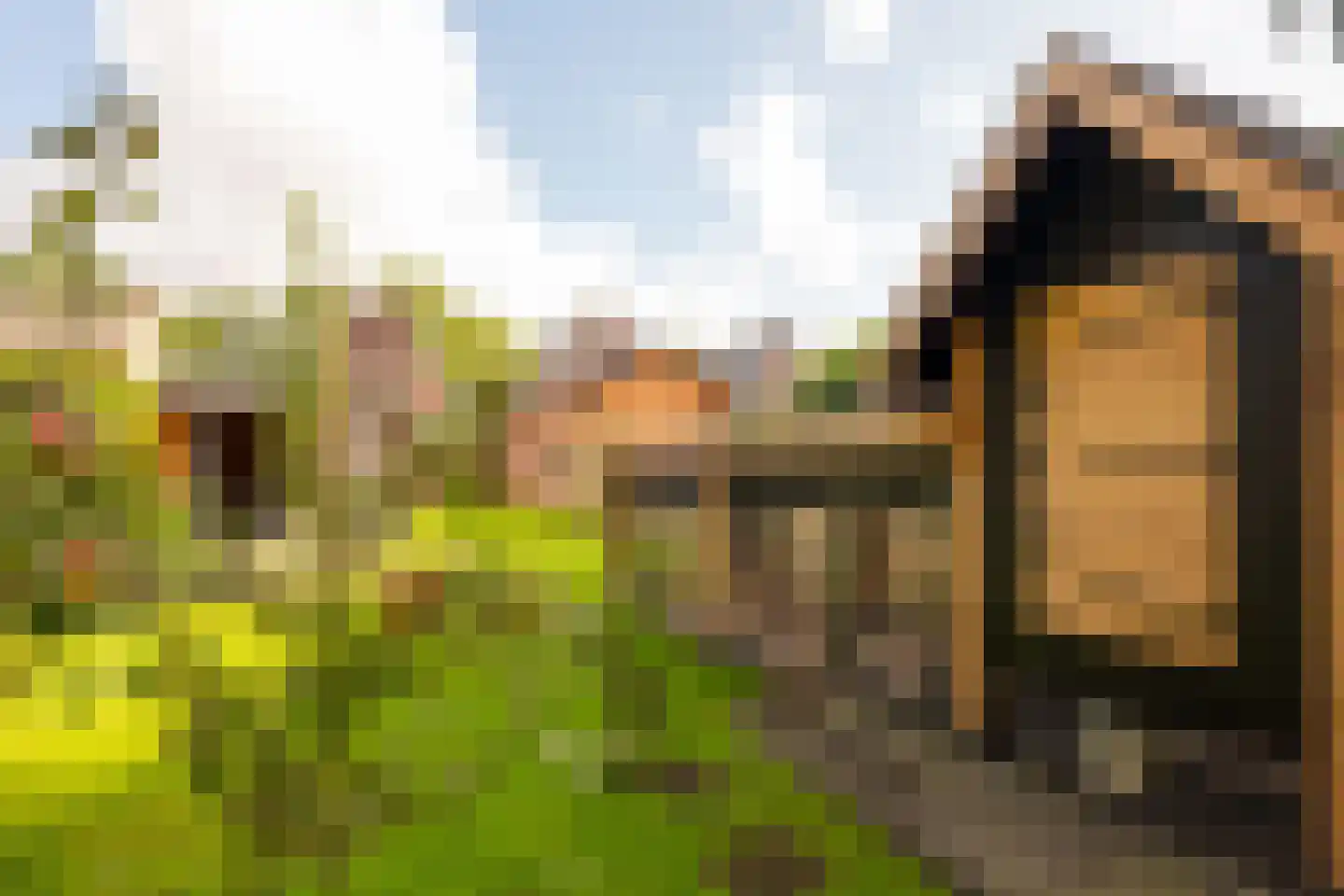 Schoolkade 1 A Musselkanaal thumbnail 43
