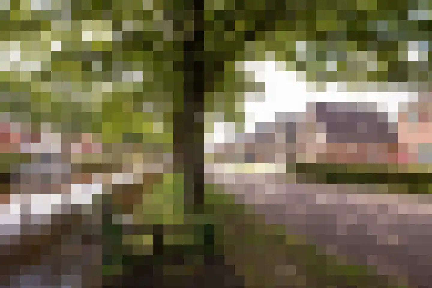 Schoolkade 1 A Musselkanaal thumbnail 45