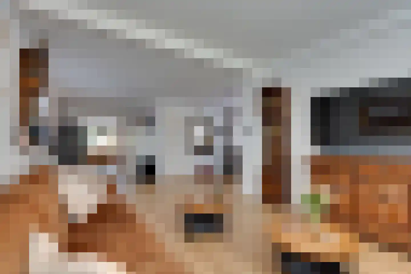 Schoolkade 1 A Musselkanaal thumbnail 7
