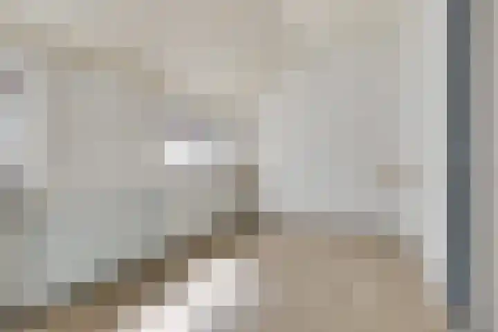 Schoolkade 124 Musselkanaal thumbnail 11
