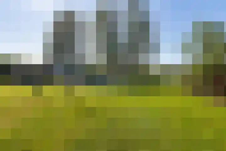 Schoolkade 124 Musselkanaal thumbnail 31