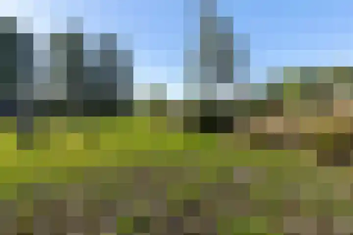 Schoolkade 124 Musselkanaal thumbnail 32