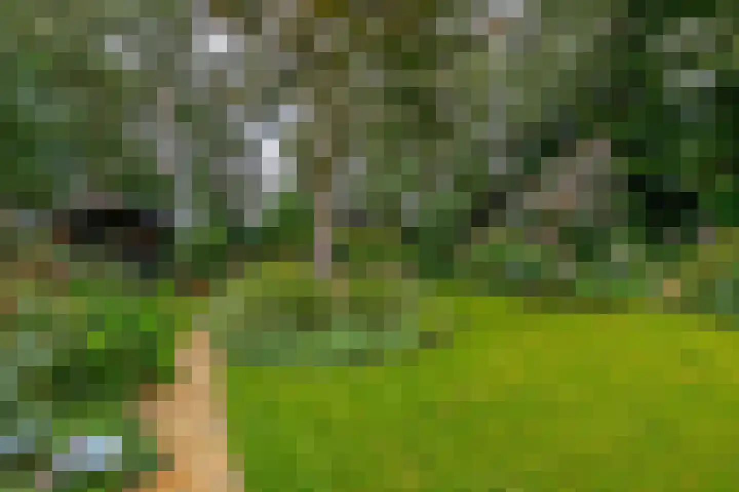 Schoolkade 130 Musselkanaal thumbnail 51