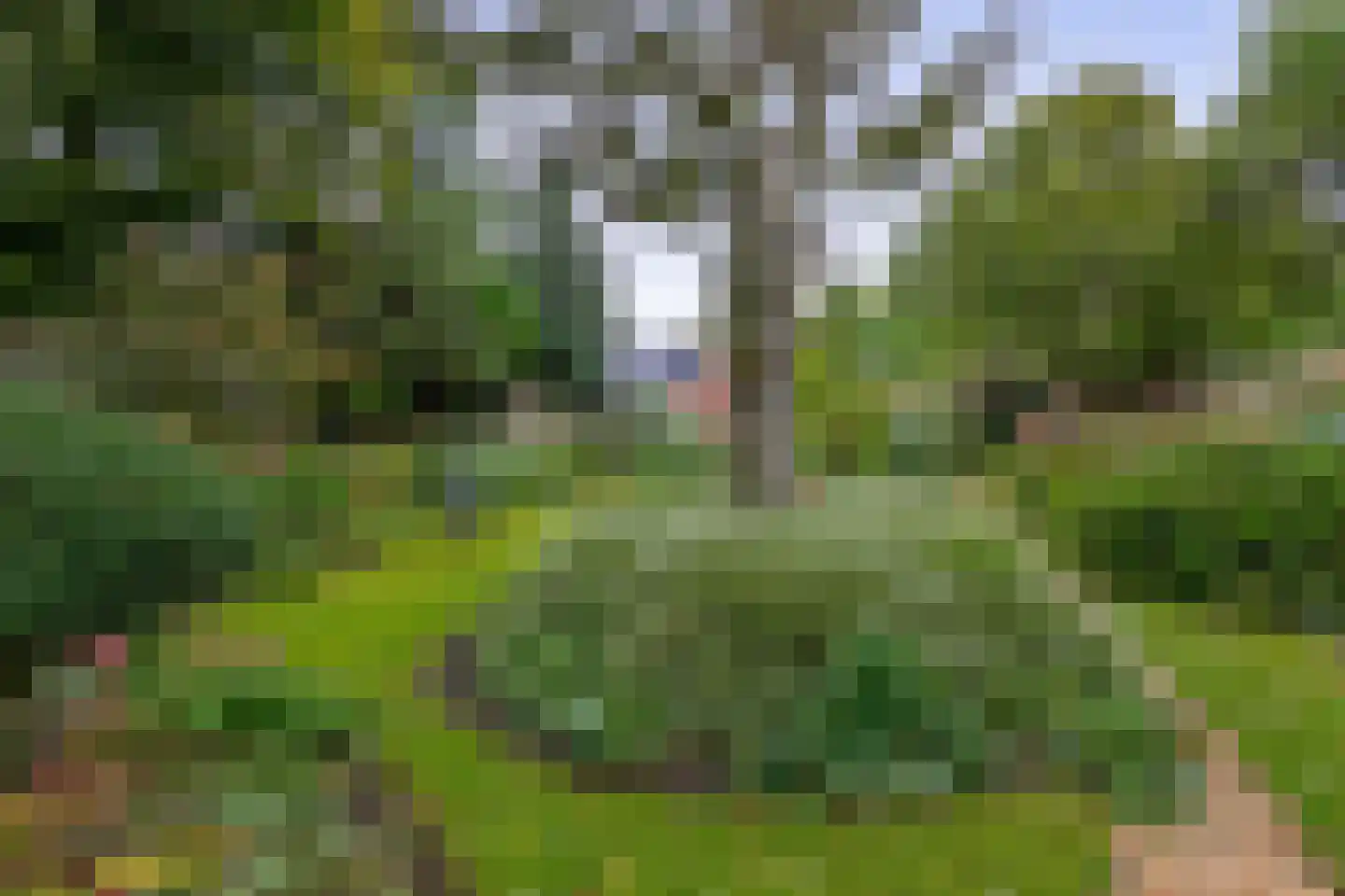 Schoolkade 130 Musselkanaal thumbnail 53