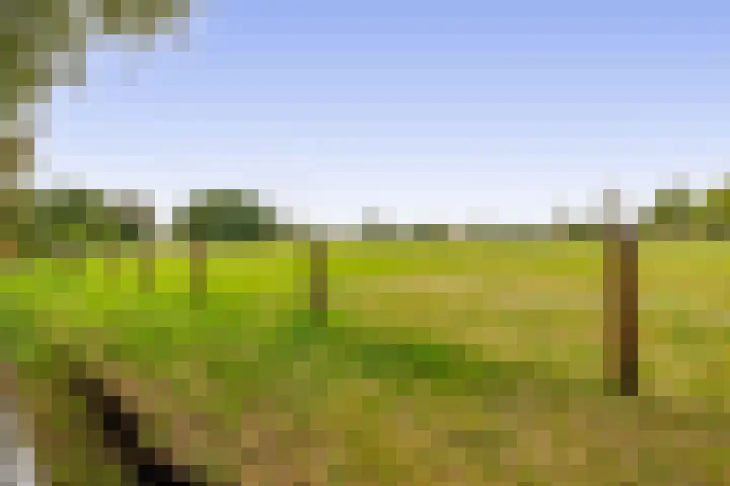 Schoolkade 130 Musselkanaal thumbnail 54