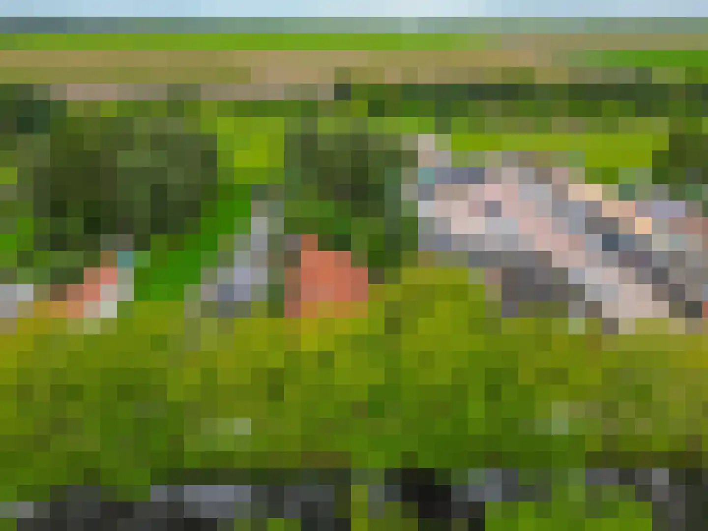 Schoolkade 130 Musselkanaal thumbnail 60