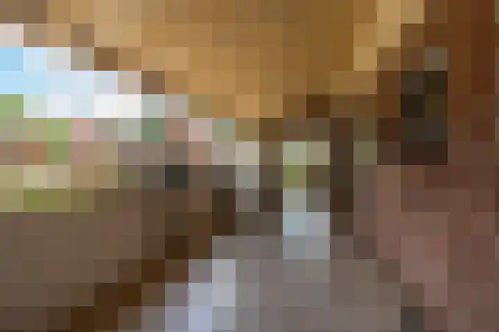 Schoolkade 137 Musselkanaal thumbnail 24