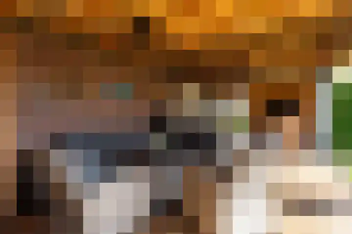 Schoolkade 137 Musselkanaal thumbnail 27