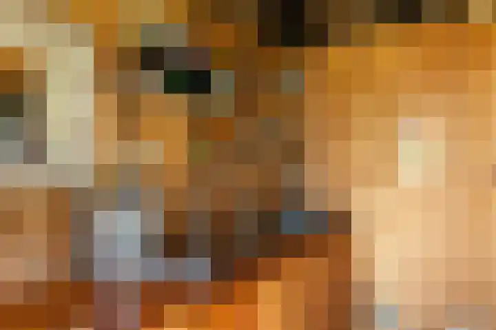 Schoolkade 137 Musselkanaal thumbnail 28