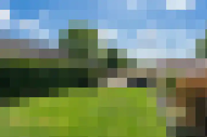 Schoolkade 137 Musselkanaal thumbnail 30
