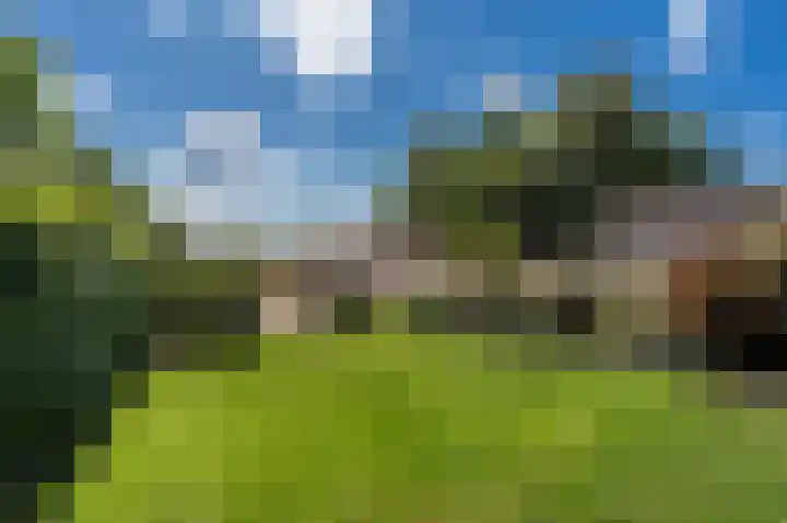 Schoolkade 137 Musselkanaal thumbnail 31